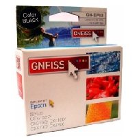 C.485 STYLUS GNEISS LIGHT CYAN PHOTO R200/R220/R320